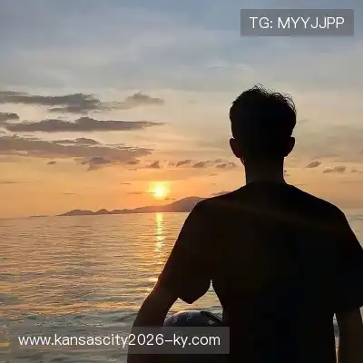 何鹰辉